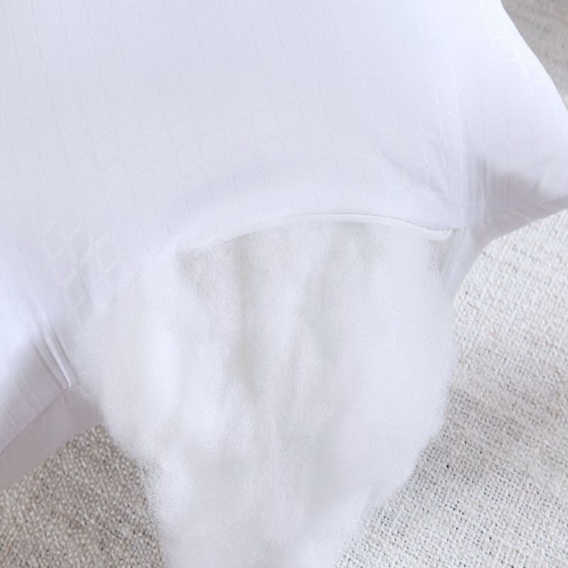 50x160cm Dakimakura Core Huggi - Bolster Pillow Long ulasan dan harga